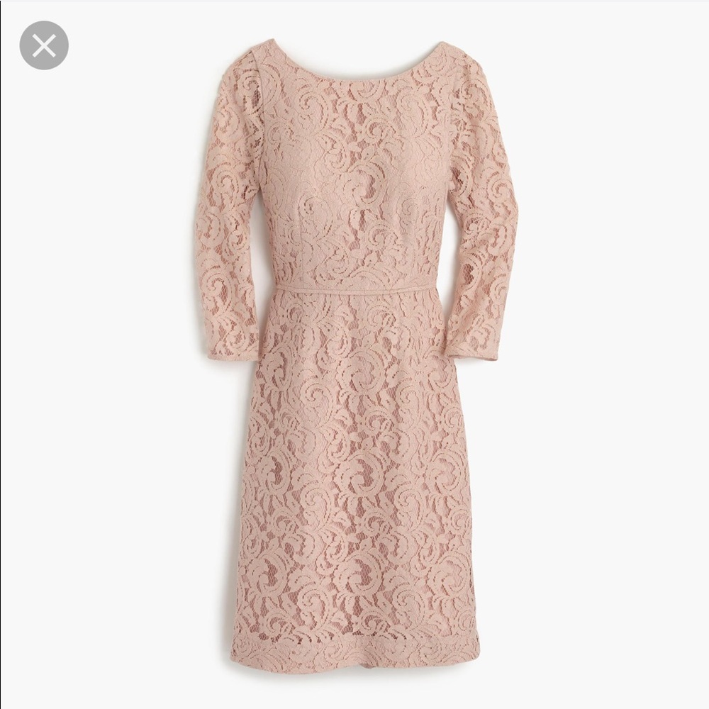 J. Crew Elegant Lace Dress in Blush Pink